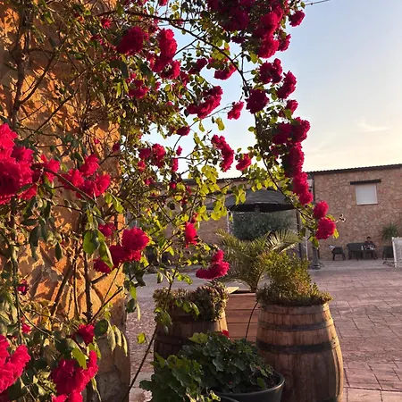 Apartamento Santa Lucia Ateca